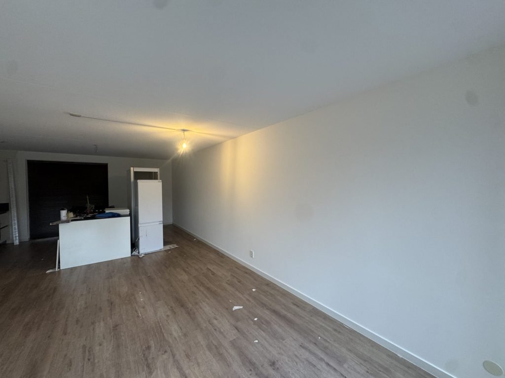 Lange woonkamer met laminaatvloer en een gladde witte wand, klaar na het sauzen